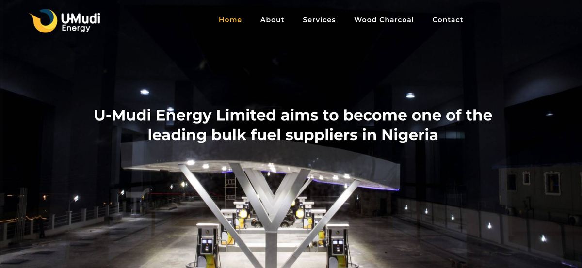 Preview of the Umudi Energy website